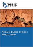 Обложка Анализ рынка глины в Казахстане
