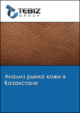 Обложка Анализ рынка кожи в Казахстане