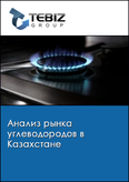 Обложка Анализ рынка углеводородов в Казахстане