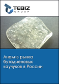Обложка Анализ рынка бутадиеновых каучуков в России