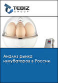 Обложка Анализ рынка инкубаторов в России