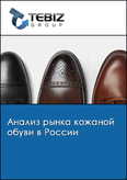 Обложка Анализ рынка кожаной обуви в России