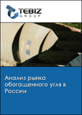 Обложка Анализ рынка обогащенного угля в России