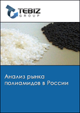 Обложка Анализ рынка полиамидов в России