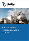 Обложка Анализ рынка углеводородов в России