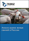 Обложка Анализ рынка живых свиней в России