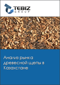 Анализ рынка древесной щепы в Казахстане