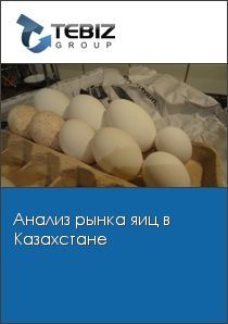 Анализ рынка яиц в Казахстане