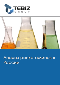 Анализ рынка аминов в России