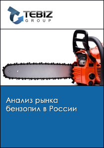 Анализ рынка бензопил в России