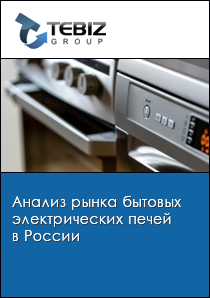 Анализ рынка бытовых электрических печей в России