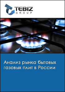 Анализ рынка бытовых газовых плит в России