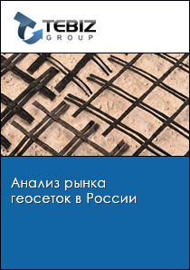 Анализ рынка геосеток в России