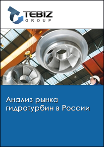 Анализ рынка гидротурбин в России