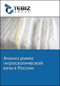 Анализ рынка гигроскопической ваты в России