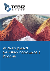 Анализ рынка глиняных порошков в России