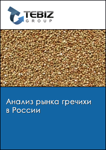 Анализ рынка гречихи в России