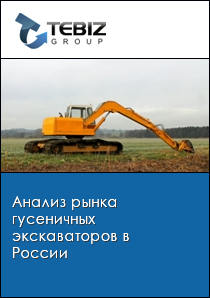 Анализ рынка гусеничных экскаваторов в России
