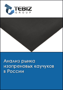 Анализ рынка изопреновых каучуков в России