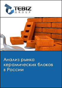 Анализ рынка керамических блоков в России