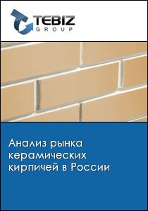 Анализ рынка керамических кирпичей в России