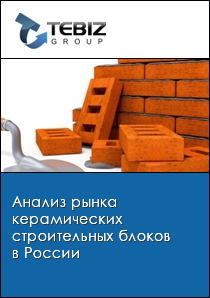 Анализ рынка керамических строительных блоков в России