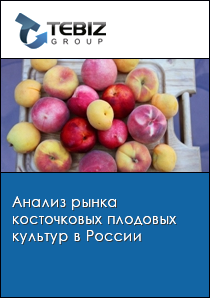 Анализ рынка косточковых плодовых культур в России