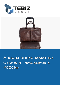 Анализ рынка кожаных сумок и чемоданов в России