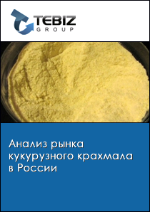 Анализ рынка кукурузного крахмала в России