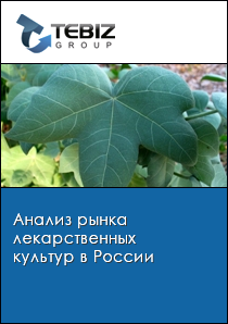 Анализ рынка лекарственных культур в России