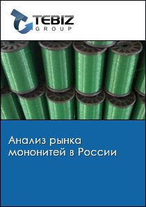 Анализ рынка мононитей в России