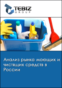 Анализ рынка моющих и чистящих средств в России