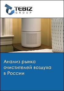 Анализ рынка очистителей воздуха в России