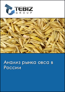 Анализ рынка овса в России