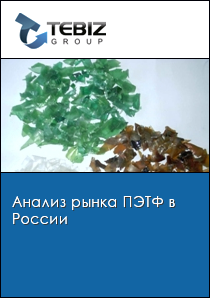 Анализ рынка ПЭТФ в России