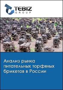 Анализ рынка питательных торфяных брикетов в России