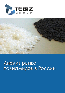 Анализ рынка полиамидов в России