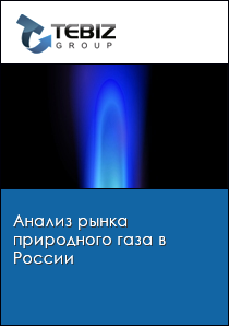 Анализ рынка природного газа в России