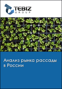 Анализ рынка рассады в России