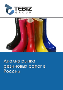 Анализ рынка резиновых сапог в России