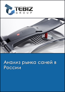 Анализ рынка саней в России