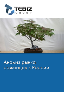 Анализ рынка саженцев в России