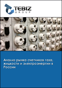 Анализ рынка счетчиков газа, жидкости и электроэнергии в России