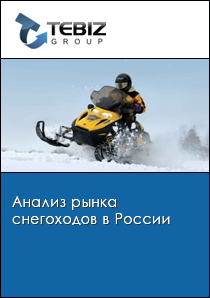 Анализ рынка снегоходов в России