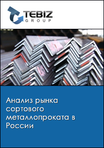 Анализ рынка сортового металлопроката в России