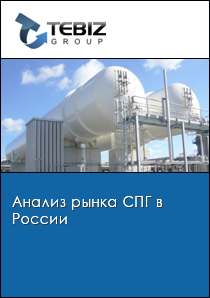 Анализ рынка СПГ в России