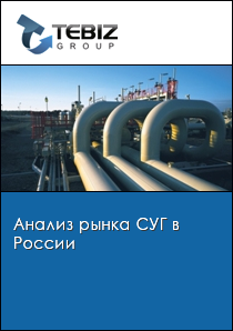 Анализ рынка СУГ в России