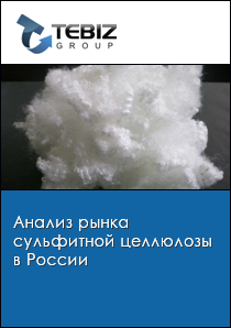 Анализ рынка сульфитной целлюлозы в России