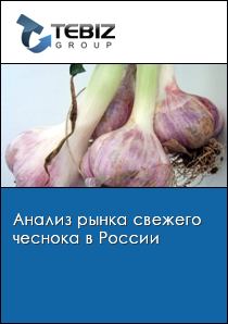 Анализ рынка свежего чеснока в России