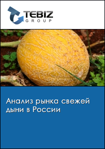 Анализ рынка свежей дыни в России